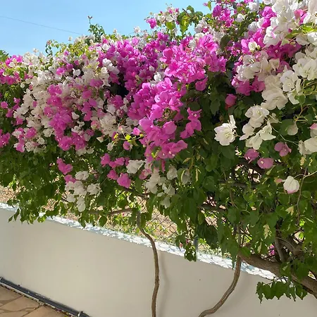 Lorida - Piscine Privee Albufeira